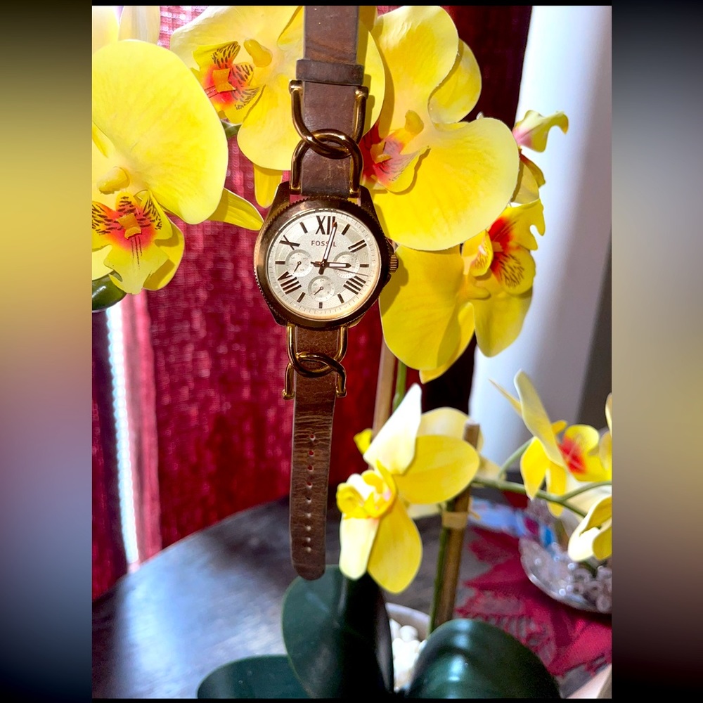 Women’s (fossil watch)🤎